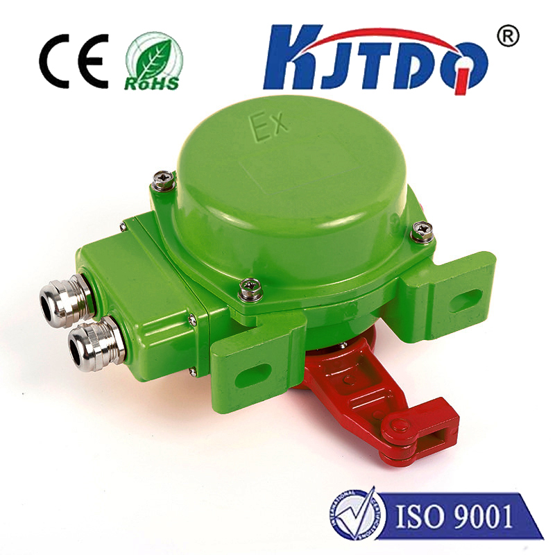 KJT-LSJ-II Type Wiring cavity explosion-proof pull rope switch